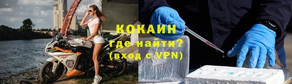 крисы Алзамай