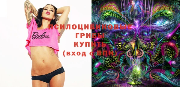 крисы Алзамай
