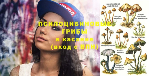 крисы Алзамай