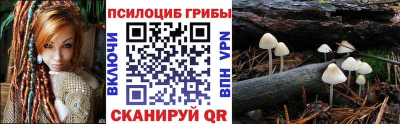 дарк нет формула Каменск-Уральский Псилоцибиновые грибы GOLDEN TEACHER