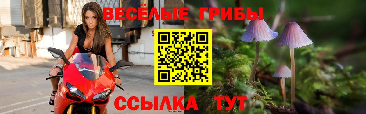 Псилоцибиновые грибы GOLDEN TEACHER Каменск-Уральский